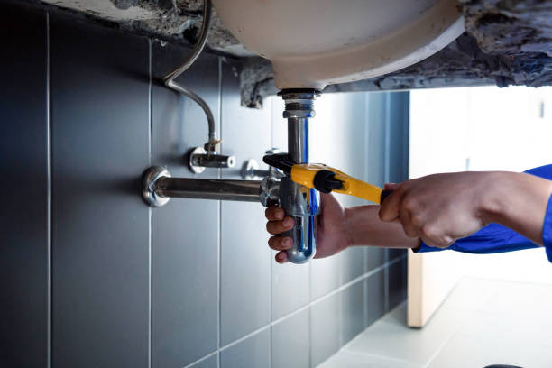 Best Drain Cleaning & Maintenance in Luxemburg, WI